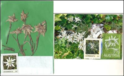 Poststück - Motivsammlungen Alpenblumen auf AK, - Stamps and postcards