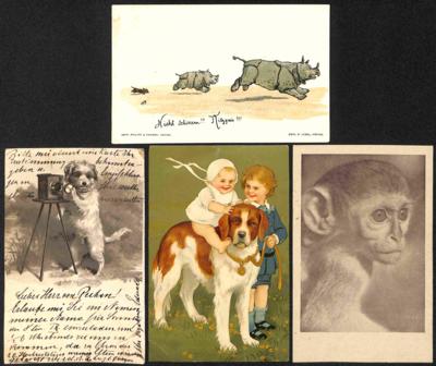 Poststück - Partie Motivkarten "Tiere", - Stamps and postcards