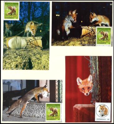 Poststück - Sammlung Motivkarten mit passenden Motivmarken vorwiegend "Jagbares Hochwild"wie Gemse, - Stamps and postcards