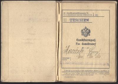 Poststück - Partie Dokumentarmaterial und AK mit LANDSTURMPASS des Landwehr Inf. Rgt. Teschen, - Briefmarken und Ansichtskarten