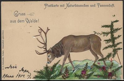 Poststück - Partie meist Motivkartenu. a. Typen- Hirsch - Prägekarte, - Ansichtskarten