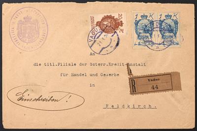 Poststück - Liechtenstein 1917/1924, - Francobolli