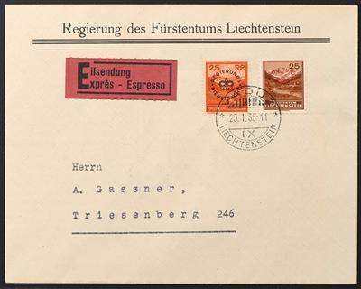 Poststück - Liechtenstein Dienst Nr. 9/10 auf adressiertem Poststück, - Stamps