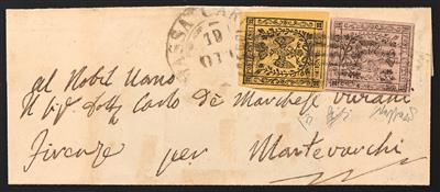 Poststück - Modena Nr. 2 II + 3 II - Stamps
