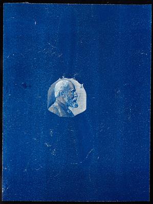 (*) - Liechtenstein - 1912 10H ungez. Probeabzug in Blau Mittelstück in Kleinbogenformat(68 x 91 mm) auf Kreidepapier, - Francobolli