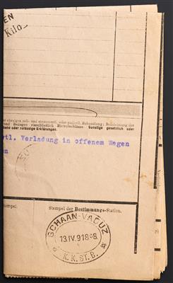 Liechtenstein Poststück - 1918 Frachtbrief - Briefmarken