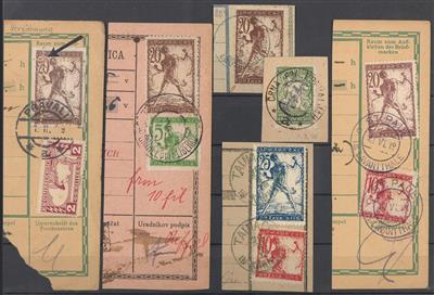 .gestempelt/Briefstück - Reichh. Spezial-Sammlung - Stamps