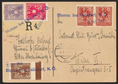Poststück - Österr. 1945 - Wappenausg.- Stempelprovisorium "Blumau b. Felixdorf, - Briefmarken