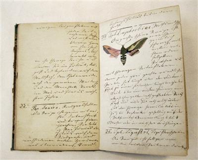 Lepidopterologie - Autogramy