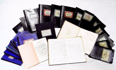 Tagebuch - Autographs, manuscripts, documents