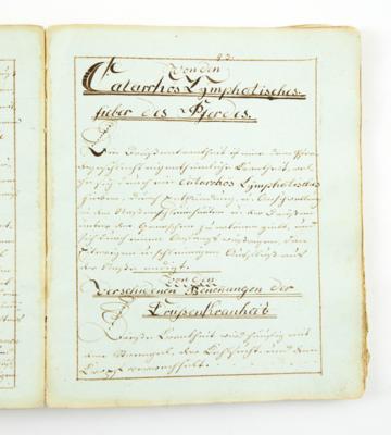Tierarzneibuch, - Autographs, manuscripts, documents