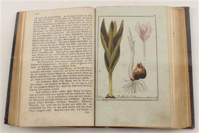 Naturgeschichte der Giftpflanzen - Books and Decorative Prints