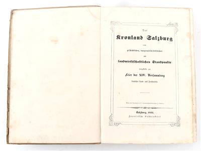Das Kronland Salzburg - Knihy a dekorativní tisky