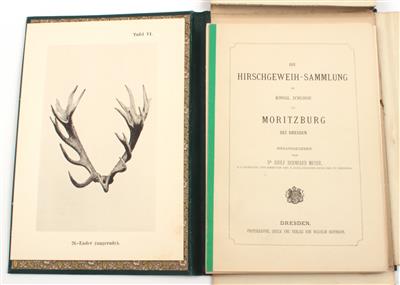 MEYER, A. B. - Books and Decorative Prints