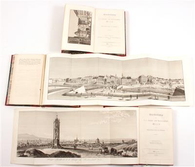 (SCHWEICKHARDT) von SICKINGEN, F. X. - Libri e grafica decorativa