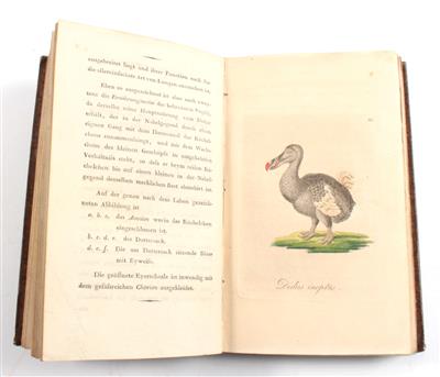 BLUMENBACH, J. F. - Bücher und dekorative Grafik