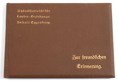 EGGENBURG. - Die n.-ö. LANDES - ERZIEHUNGSANSTALT - Books and Decorative Prints
