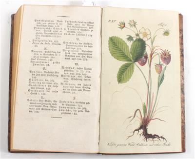 SICKLER, J. V. - Bücher und dekorative Grafik