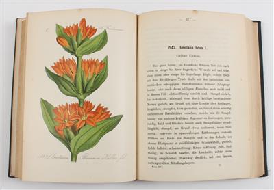 FLORA von DEUTSCHLAND. - Books and Decorative Prints