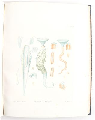 RENIER, S. A. - Knihy a dekorativní tisky