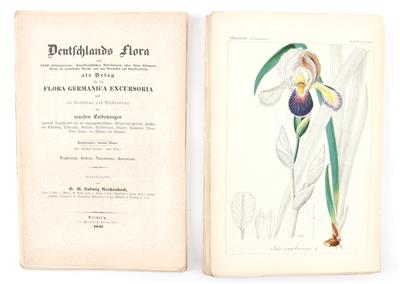 REICHENBACH, H. G. L. - Books and Decorative Prints