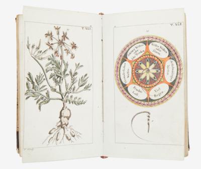 UNTERHALTUNGEN AUS DER NATURGESCHICHTE: PFLANZENREICH - Knihy a dekorativní grafika