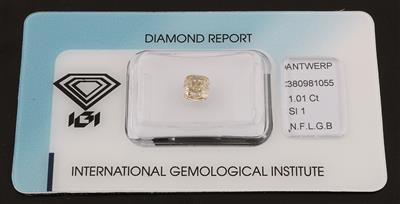 Natural Fancy Light Greyish Brown Diamant 1,01 ct - Diamonds Only