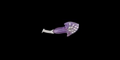 A Diamond and Amethyst Floral Brooch - Klenoty