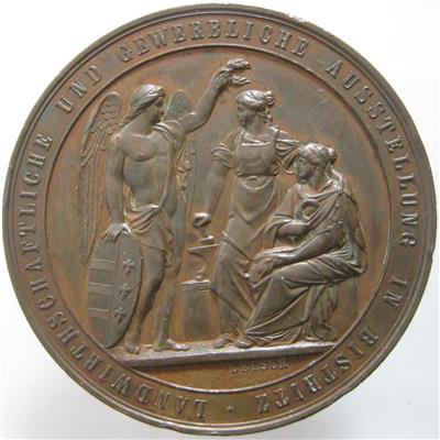 Bistritz, Siebenbürgen - Mince, medaile a papírové peníze