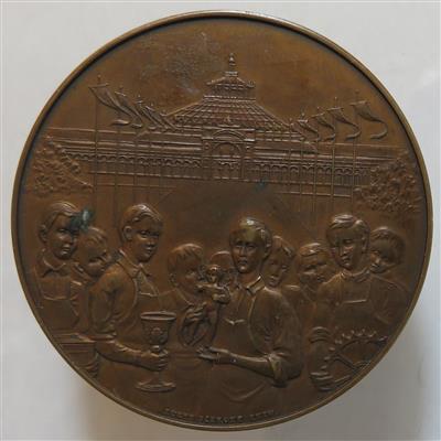 Franz Josef I. und seine Zeit(11 Stk., davon 2 AR) - Münzen und Medaillen