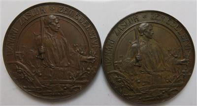 Mähren (2 Stk. AE) - Münzen und Medaillen