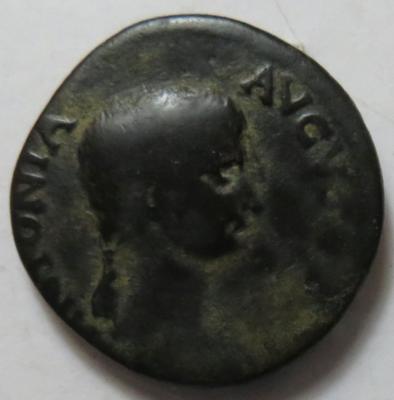 Antonia - Monete e medaglie