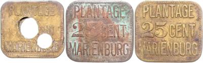 SURINAME Plantage Marienburg 1880/1890 - Mince a medaile
