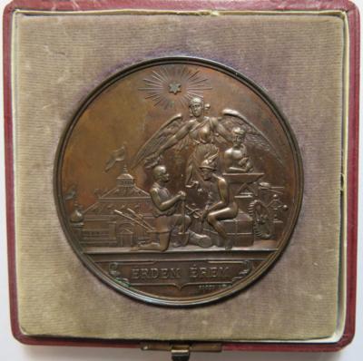 Franz Josef I., Verdienstmedaille der südungarischen Gewerbe- und Landwirtschaftsausstellung in Temesvar 1891 - Mince a medaile