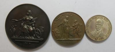 Thema Steiermark (3 Stk.) - Münzen und Medaillen