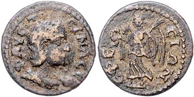 Annia Faustina, dritte Frau des Elagabal - Münzen