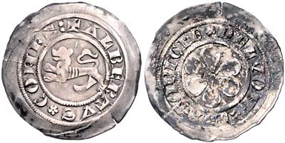 Albert II. 1274/75-1304 - Mince a medaile
