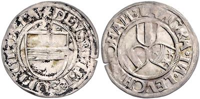 Leuchtenberg, Johann VI. 1487-1531 - Monete e medaglie