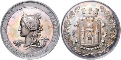 Volksfest in Linz 6.-10. September 1877 - Mince, medaile a papírové peníze