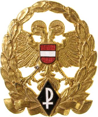 Ehrenzeichen der Ostmärkischen Sturmscharen - Orden und Auszeichnungen