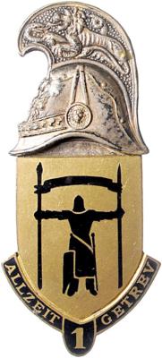 Truppenkörper-Abzeichen Panzerabwehr Bataillon 1, - Orden und Auszeichnungen