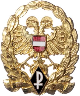 Ehrenzeichen der Ostmärkischen Sturmscharen, - Medaile a vyznamenání