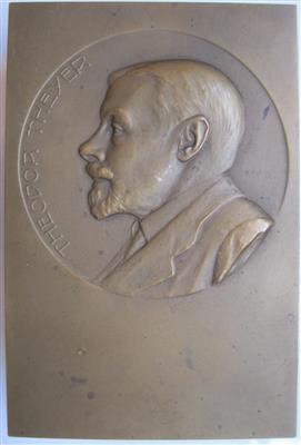 Theodor Theyer- Nürnberger waren- und Papier-Handlung "Zur Stadt Nürnberg" - Mince a medaile