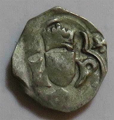 Ladislaus Posthumus 1452-1457 - Münzen