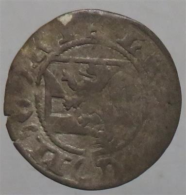 Grafen von Görz, Leonhard 1462-1500 - Münzen
