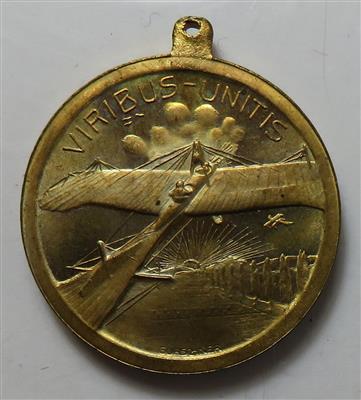 Schaffung der k. k. Luftflotte - Monete e medaglie