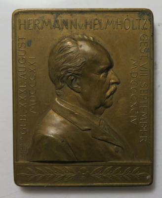 Hermann von Helmholtz, 66. Versammlung deutscher Naturforscher und Ärzte in Wien - Münzen und Medaillen