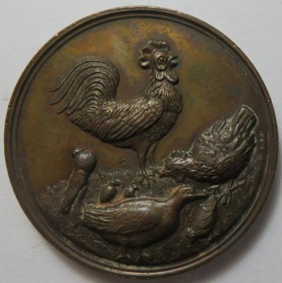 Erste österr.-ung. Geflügelzuchtverein - Coins and medals