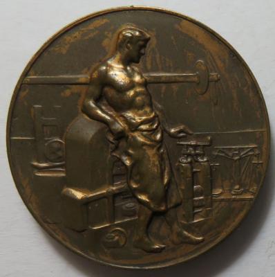 25 Jahre tschechische Realschule in Göding 1894-1919 - Mince a medaile