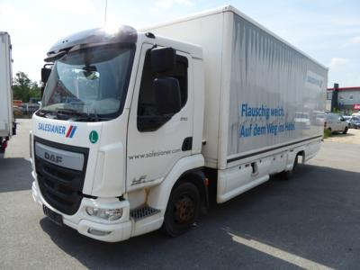 LKW "DAF LF 210" (Euro 6), - Motorová vozidla a technika